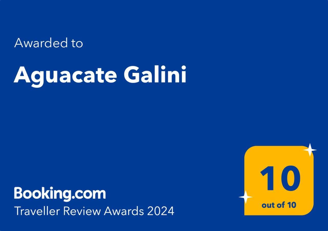 蒂锡利维Aguacate Galini With Private Swimming Pool别墅 外观 照片